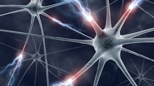 Yeni Fiber Implantlar Beyin Hakkında Yeni Kapılar Açıyor