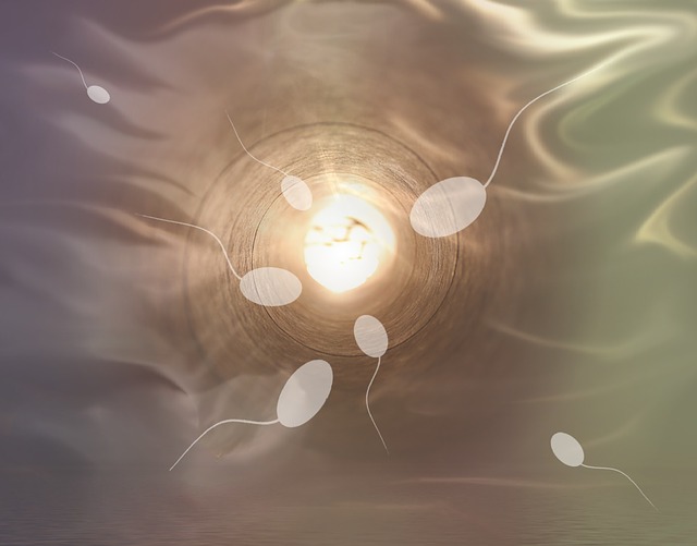 "Robot-Spermler" Rahim Ağzı Kanseri için Hedefe Yönelik Tedavi Yöntemi Olabilir mi ?