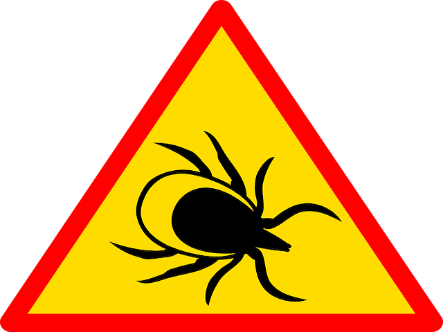 Lyme Hastalığı Aşısı Ufukta