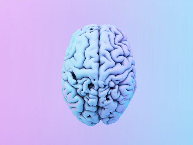 Beyin Organoidleri için EEG Kapakları