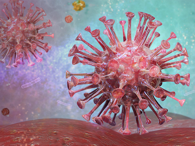 Beyaz Kan Hücrelerindeki Kararlı HIV Genomu Rezervuarı
