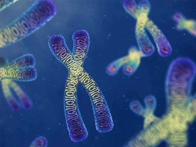 Yenidoğan Proteinleri ile Yetişkin Sağlığı Arasındaki İlişkinin Çözülmesi