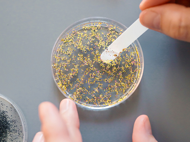 Araştırma Ekibi Tarafından Test Edilen Meni Örneklerinde Mikroplastik Bulundu
