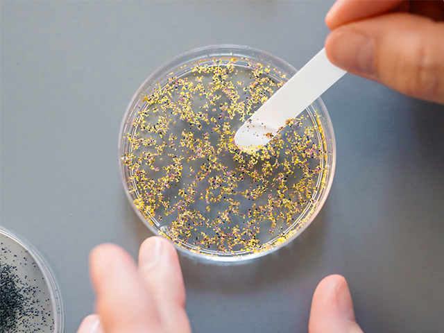 Nanoplastikler Çeşitli Laboratuvar Modellerinde Parkinson Hastalığının Koşullarını Teşvik Ediyor