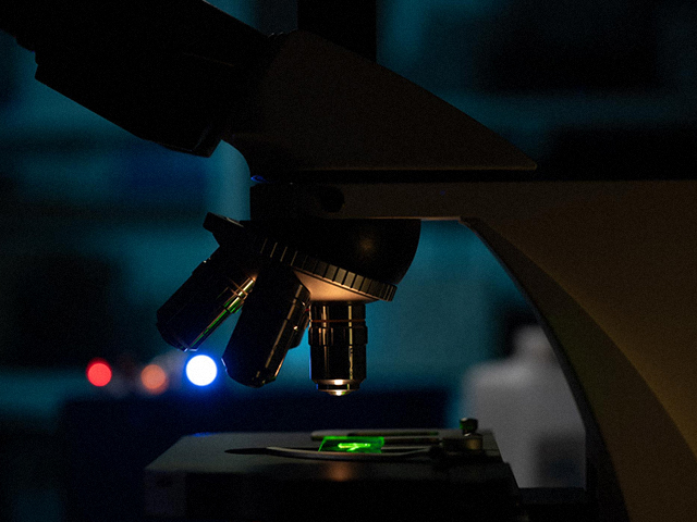 Yerinde Doku Yeniden Programlama için Nanotransfeksiyon Cihazı