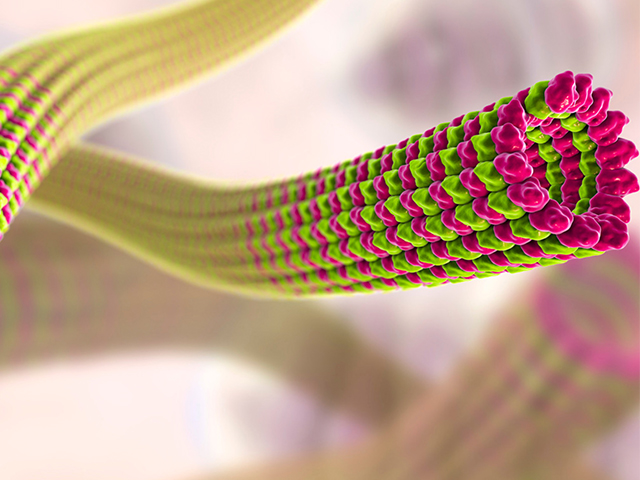 Nörodejenerasyonda Protein Toplanmasını İncelemek için Nanopore Sensörü