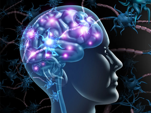 Parkinson Hastalığındaki Zararlı Protein Hücre Zarında Delikler Açıyor