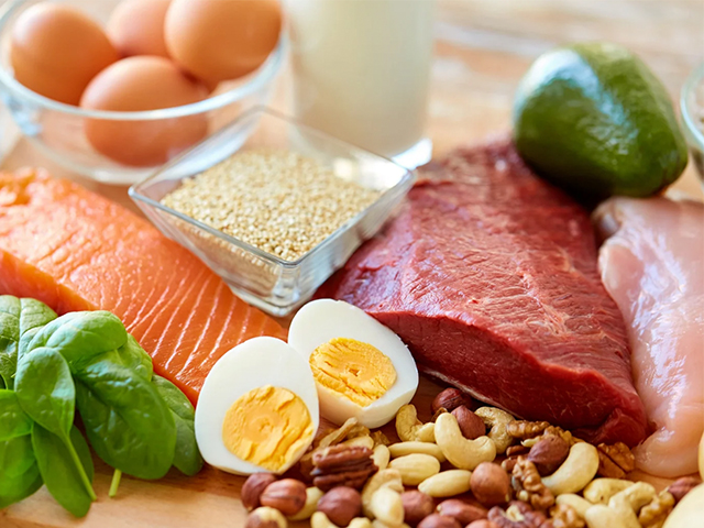 Kas Yapımında Hangi Protein Daha Etkili?