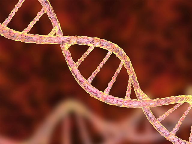 TET2 Gen Eksikliği Akut Miyeloid Lösemi Gelişimini Nasıl Tetikler?