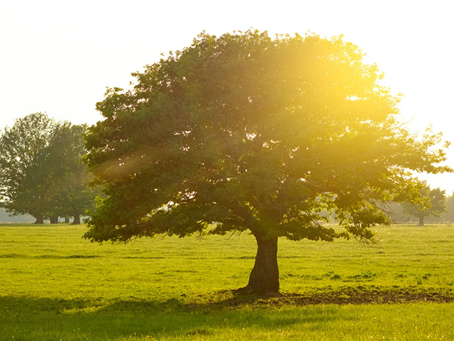 Finlandiya’da Yeni Bir Mavi Bölge Adayı: Ostrobothnia