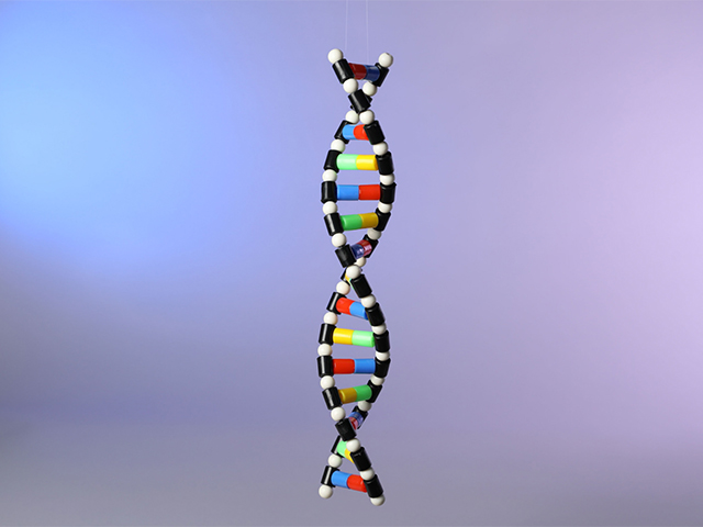 Beyin Kanserinde Yeni İpucu: Kaçak DNA Halkaları