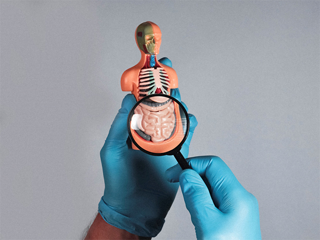 Antibiyotik Kullanımı Inflamatuar Bağırsak Hastalığına Neden Olabilir