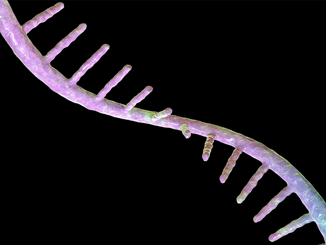 mRNA İmmünoterapisi Kanseri Hedefliyor