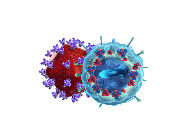 İlerlemiş HIV'li Kişilerin Maymun Çiçeğinden Ölme Oranları Daha Yüksek Olabilir