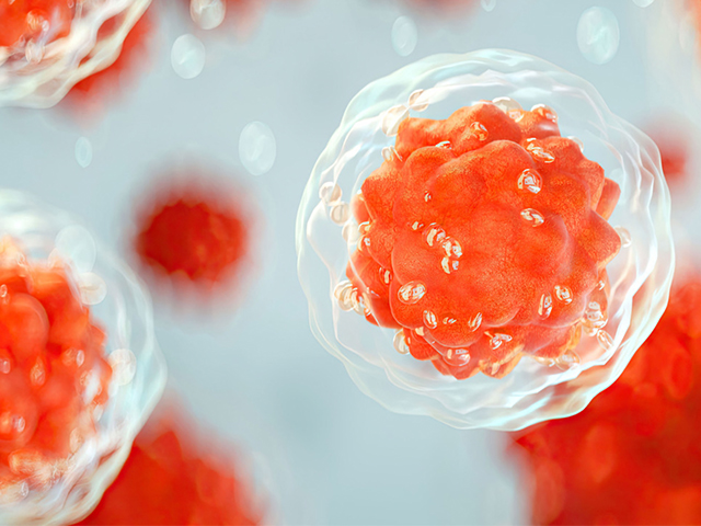 Sirt6 Proteini Sağlıklı ve Uzun Yaşamın Dengeli Anahtarı