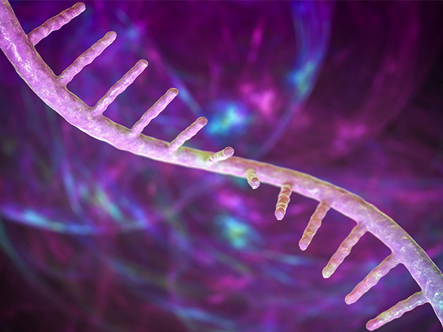 Akıllı Rehber RNA'lar Kişiselleştirilmiş Tıp Çağını Açabilir mi?
