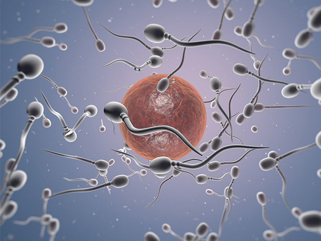 Queensland Eyaletinde Karışıklıklar Nedeniyle Sperm Bankası Temizleniyor