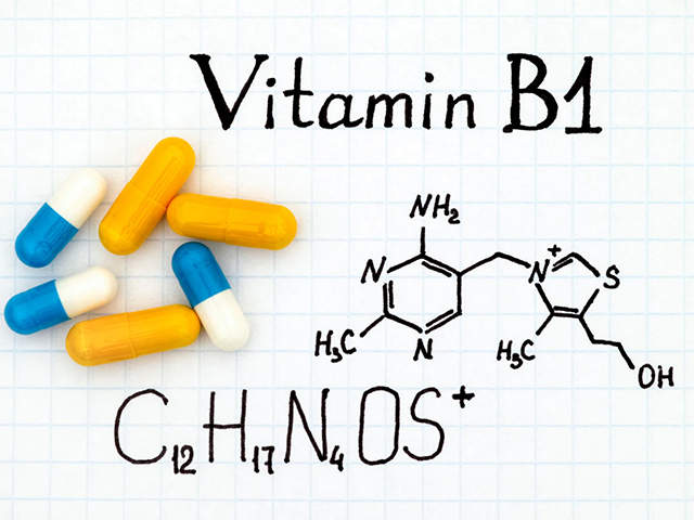 Bağırsakların Gizli Yakıtı: B1 Vitamini