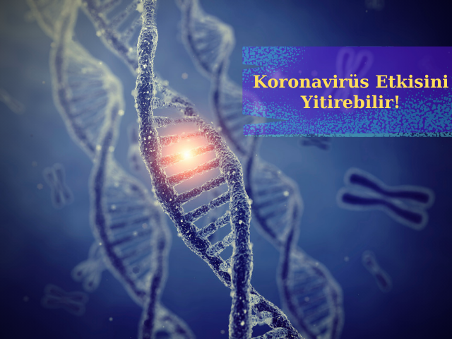 Mutasyona Uğrayan Yeni Koronavirüs Etkisini Yitirebilir!