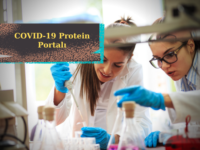 İngiltere'de Araştırmacılar İçin Kullanımı Kolay Ücretsiz COVID-19 Protein Portalı