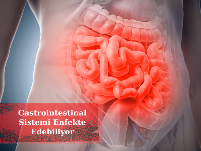SARS-Cov-2 Gastrointestinal Sistemi Enfekte Edebiliyor
