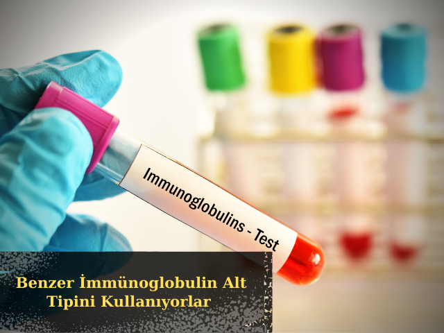 SARS-Cov-2'yi Hedefleyen Çoğu Antikor Benzer İmmünoglobulin Alt Tipini Kullanıyor