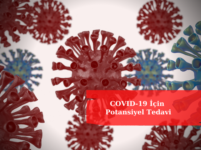 COVID-19 İçin Potansiyel Tedavi Olarak Geliştirilen Yeni Antikor Kokteyli