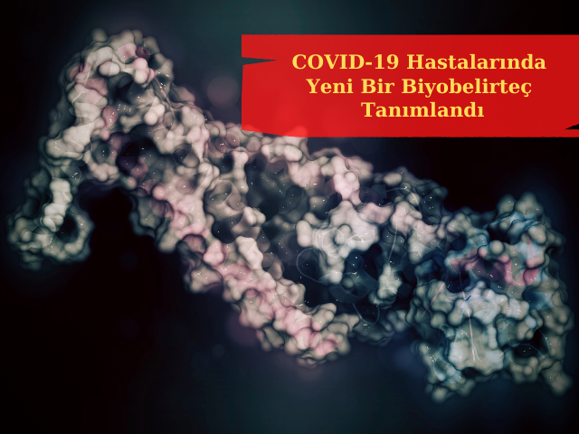 COVID-19 Hastalarında Yeni Bir Biyobelirteç Tanımlandı