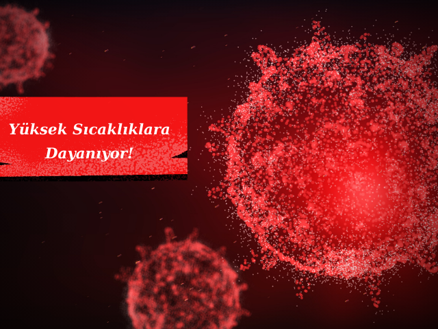 Koronavirus, Yüksek Sıcaklıklara Uzun Süre Dayanabiliyor