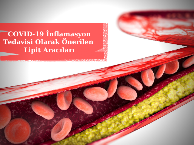 COVID-19 İnflamasyon Tedavisi Olarak Önerilen Lipit Aracıları