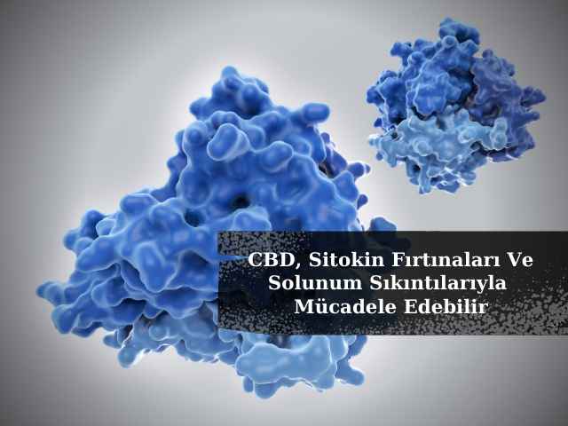 CBD, COVID-19'un Neden Olduğu Sitokin Fırtınaları Ve Solunum Sıkıntılarıyla Mücadele Edebilir