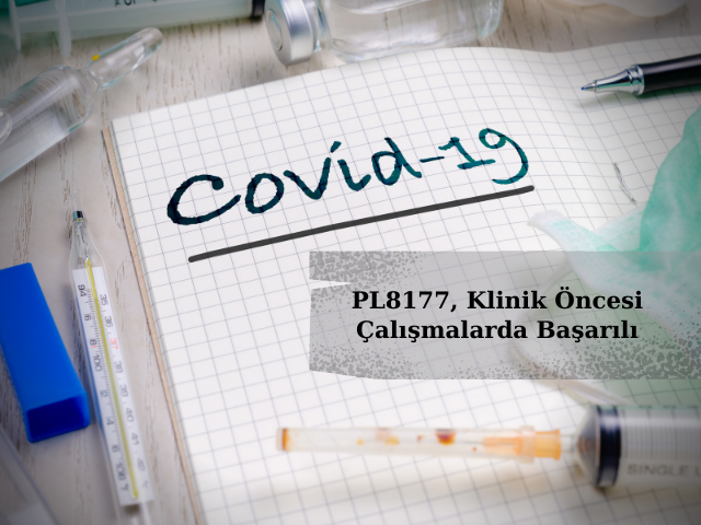 PL8177, Klinik Öncesi Çalışmalarda COVID-19 Tedavisi Olarak Başarılı