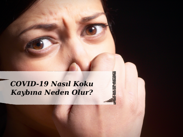 COVID-19 Nasıl Koku Kaybına Neden Olur?