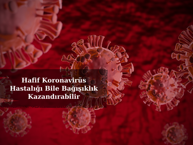 Hafif Koronavirüs Hastalığı Bile Bağışıklık Kazandırabilir