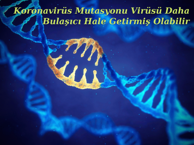 Koronavirüs Mutasyonu Virüsü Daha Bulaşıcı Hale Getirmiş Olabilir