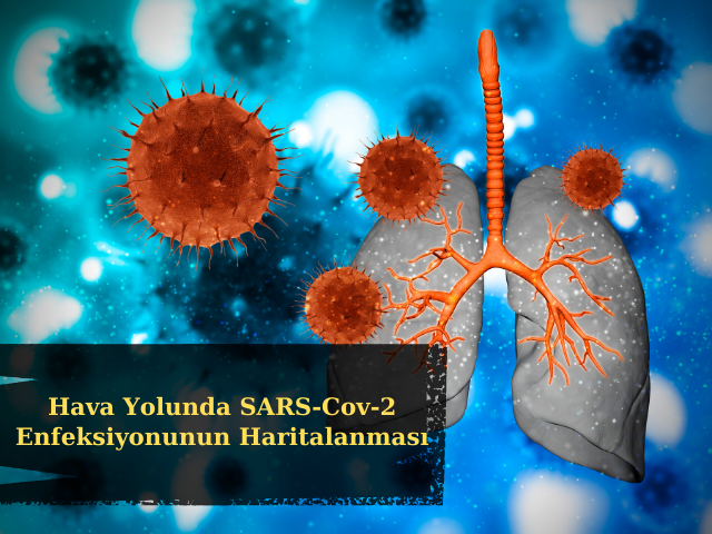 Hava Yolunda SARS-Cov-2 Enfeksiyonunun Haritalanması