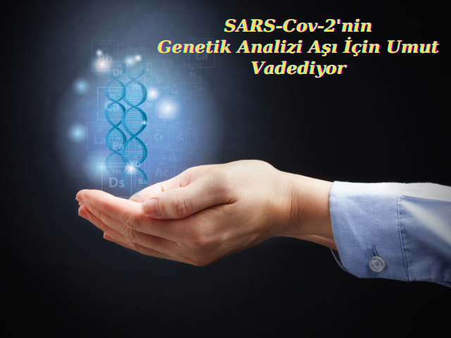 SARS-Cov-2'nin Genetik Analizi Aşı İçin Umut Vadediyor