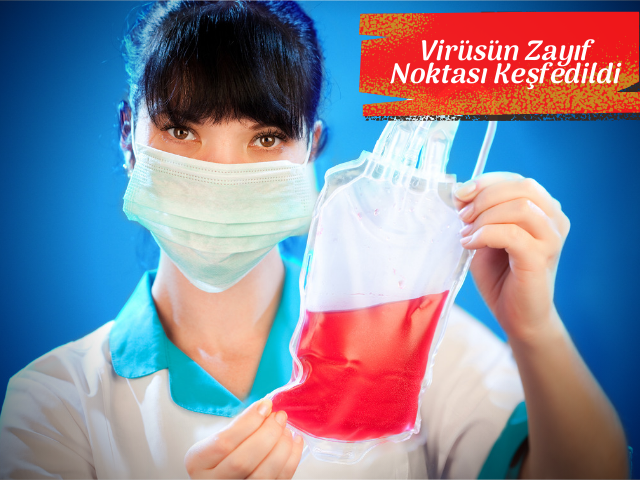 Koranavirüsün Zayıf Noktası Keşfedildi
