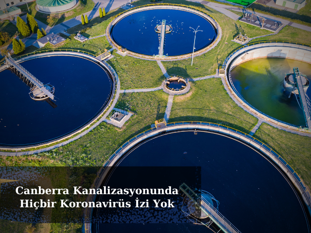 Canberra Kanalizasyonunda Hiçbir Koronavirüs İzi Yok