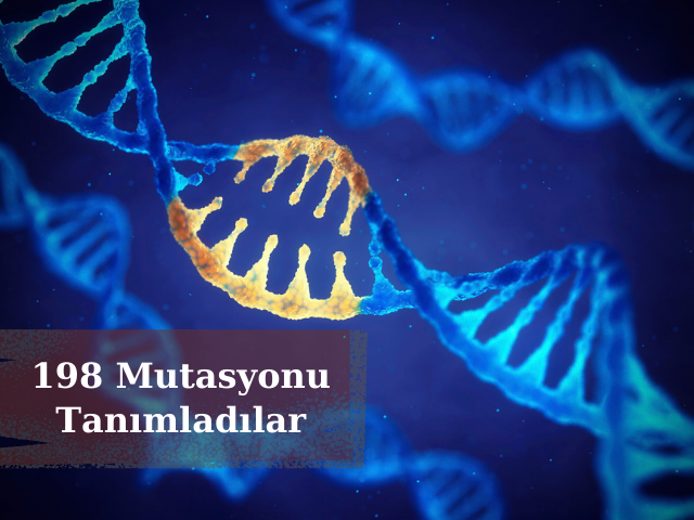 Araştırmacılar SARS-Cov-2 Genomunu Analiz Ederek 198 Mutasyonu Tanımladılar