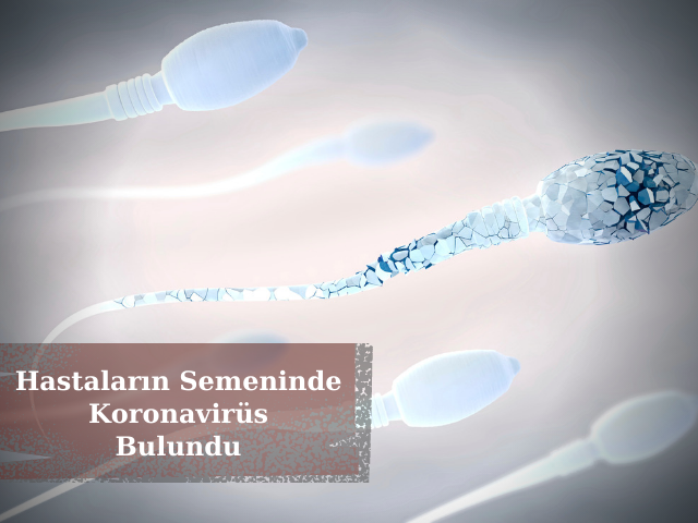 Çinlilerin Yaptığı Çalışmada Hastaların Semeninde Koronavirüs Bulundu