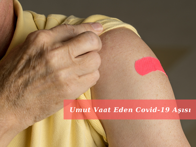 Fare Deneyleri Devam Eden Covid-19 Aşısı Umut Vaat Ediyor