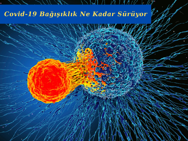 Koronavirüse Bağışık Hale Gelebilir miyiz?