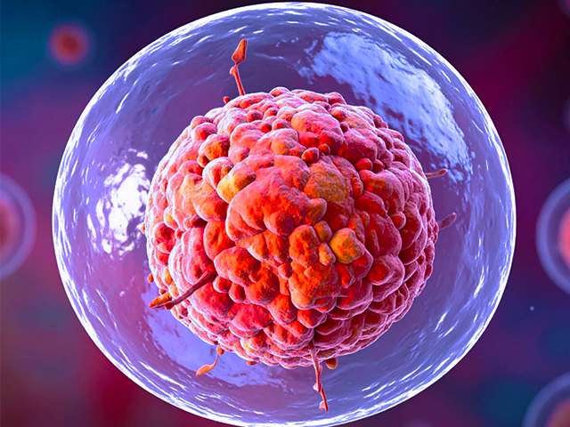 Kanserin Genetik Yol Haritası Çıkarıldı